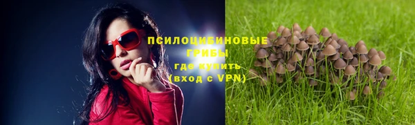 винт Алексин