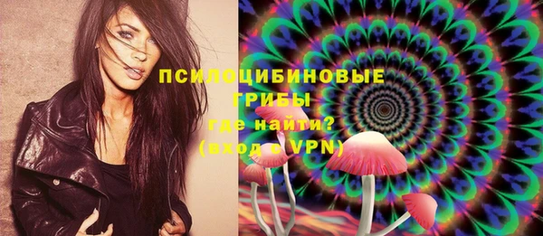 spice Алзамай