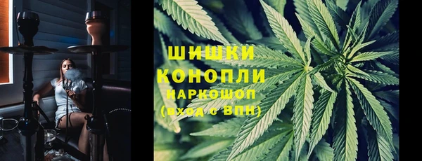 винт Алексин