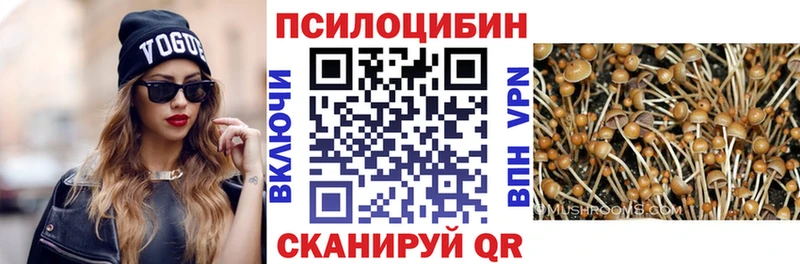 MEGA ТОР  Махачкала  Галлюциногенные грибы Psilocybe 